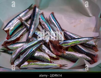 Filets von frischen, kleinen gesalzenen Sardellen auf dem Fischmarkt in Bilbao, Baskenland, Spanien Stockfoto