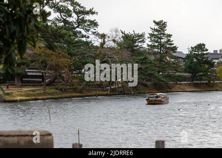 Matsue, Shimane, JAPAN - Dez 1 2021 : Ein Sightseeing-Boot, das am Abend den Horikawa Fluss in der Nähe von Matsue Castle entlang fährt. Stockfoto