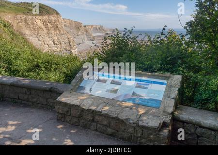 Temple Bay, Dunraven Park, Southerndown. Bitte Kredit: Phillip Roberts Stockfoto