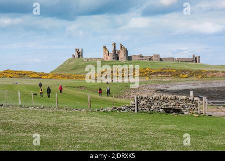 Dunstanburgh Castle, Blick im späten Frühling auf Menschen, die auf dem Küstenpfad zwischen Craster und Dunstanburgh Castle, Northumberland, England, Großbritannien, spazieren Stockfoto