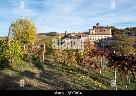 Ein Weinberg am Stadtrand von Barolo, Cuneo, Piemonte mit dem Dorf Barolo im Hintergrund Stockfoto