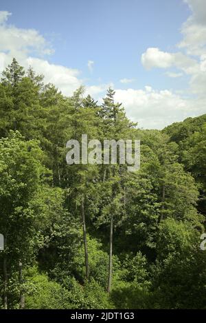 Natur entlang eines Flusses Stockfoto