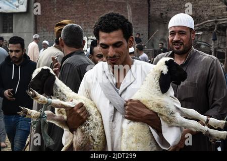 Gizeh, Ägypten. 23.. Juni 2022. Ein Mann trägt ein Paar Ziegen auf dem Viehmarkt Al-Manashi in Gizeh, wo die Menschen vor dem muslimischen Feiertag Eid al-Adha Opferrinder einkaufen. Eid al-Adha ist das heiligste Fest im Islam, bei dem Muslime Rinder und Schafe schlachten, um der Bereitschaft des Propheten Ibrahim (Abraham) zu gedenken, seinen Sohn Ismael zu opfern. Kredit: Sayed Hassan/dpa/Alamy Live Nachrichten Stockfoto