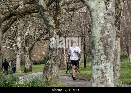 Ein Mann, der durch die Trenance Gardens in Newquay in Cornwall in Großbritannien joggt. Stockfoto