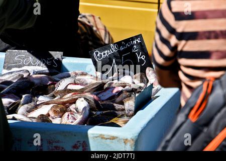 Marseille, Frankreich. 09.. Juni 2022. Fischer verkaufen ihre Fische an einem Kai im Alten Hafen von Marseille. (Foto von Gerard Bottino/SOPA Images/Sipa USA) Quelle: SIPA USA/Alamy Live News Stockfoto