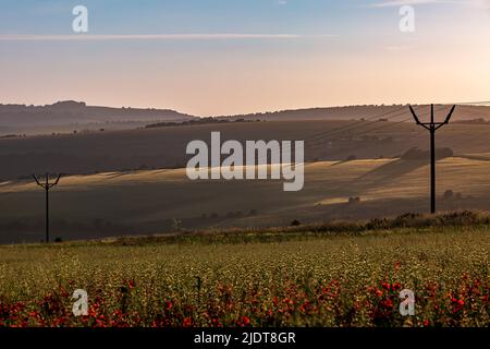 Blick über eine hügelige Landschaft in Sussex, an einem sonnigen Sommerabend Stockfoto