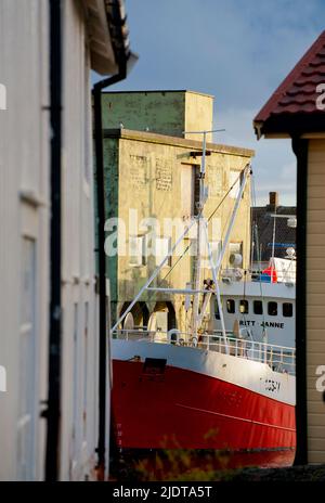 Fischerboot im traditionellen Fischerdorf Nyksund in Vestraalen, Nordland, Norwegen. Stockfoto