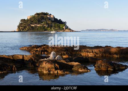 Felsenküste, Felsen, Küste oder Küste vor der Insel und dem Fort von Bregançon Bormes-les-Mimosas Var Provence Frankreich Stockfoto