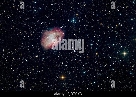 Krabbennebel (Messier 1), ein Supernova-Überrest im Sternbild Stier. Stockfoto