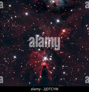 Der dunkle Kegelnebel und der offene Christbaumhaufen (NGC 2264) im Sternbild Monoceros. Stockfoto