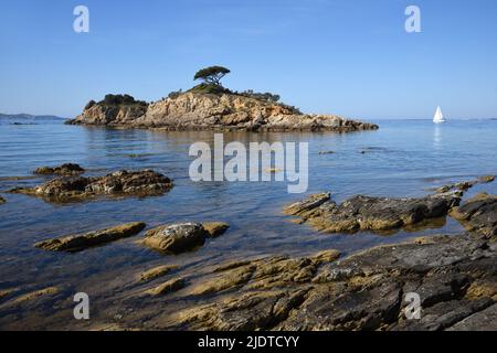 Estagnol Island oder Ilots de l'Estagnol vor Pointe de l'Estagnol Felsstraten an der Küste & Einzeljacht Bormes-les-Mimosas Var Provence Côte-d'Azur Frankreich Stockfoto