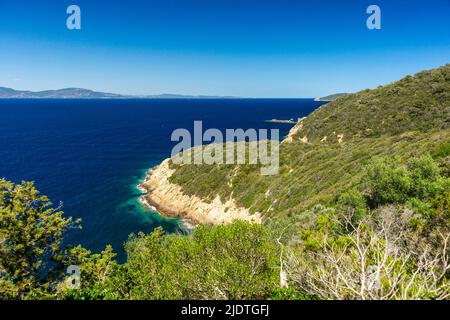 Pointe de Marma, Île de Port-Cros Stockfoto