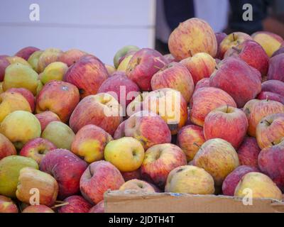 Haufen von indischen Äpfeln bereit, auf dem Apfelfruchtmarkt verkauft zu werden. Stockfoto