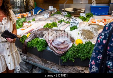 London, England Großbritannien - ganze Seeteufel ( Lophius Linnaeus ) zum Verkauf an einem Stand im Borough Market Stockfoto