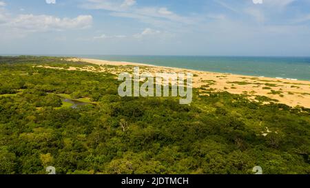 Wilder Strand und Ozean im Kumana Nationalpark, umgeben von Dschungel. Stockfoto