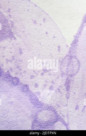 Lila Hintergrund, strukturiertes Papier mit pastellvioletter Farbe in einer abstrakten Komposition mit Kopierraum gemalt. Stockfoto