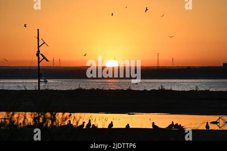 Shenmu. 23.. Juni 2022. Das am 23. Juni 2022 aufgenommene Foto zeigt die Vogelinsel bei Sonnenaufgang im Hongjiannao National Nature Reserve in Shenmu, nordwestlich der chinesischen Provinz Shaanxi. Mehr als 10.000 Relikt-Möwenküken erlernen im Hongjiannao National Nature Reserve Überlebensfähigkeiten wie Schwimmen, Nahrungssuche und Fliegen. Die Reliktmöwe steht in China unter erstklassigem nationalem Schutz. Quelle: Tao Ming/Xinhua/Alamy Live News Stockfoto