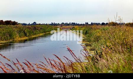 Blick auf den Roaring Gutter Dike im Lydden Valley, mit Blick auf das Dorf Worth und den Discovery Park Stockfoto