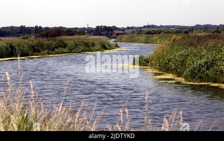 Blick auf den Roaring Rutter Dyke im Lydden Valley, mit Blick auf die Hacklinge Pumpstation Stockfoto