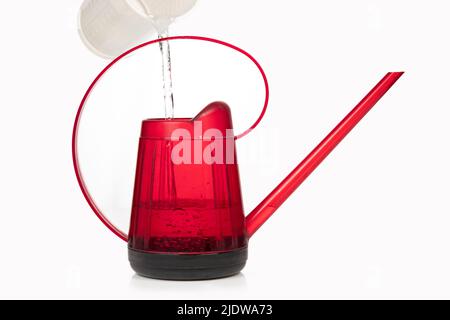 Rote Kunststoff Gießkanne isoliert auf weißem Hintergrund, mit Wasser aus einem obenliegenden weißen Krug gefüllt Stockfoto
