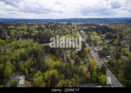 Draufsicht auf die grüne Stadt, Vorort. Viel Grün, ausgebaute Infrastruktur, asphaltierte Straßen und Wanderwege. Am Horizont kann man eine Bergkette sehen Stockfoto