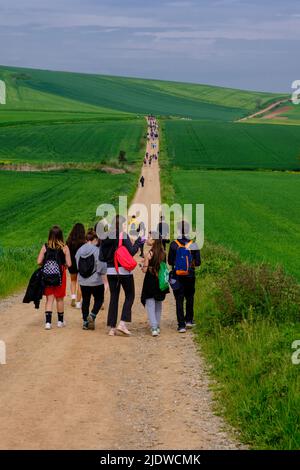 Spanien, Bezirk La Boja.. Spanische Sekundarschüler, die auf dem Camino de Santiago in Richtung Santo Domingo de la Calzada wandern. Stockfoto