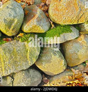 Nahaufnahme eines Steinhaufens, der mit grünem Schimmel und Herbstblättern bedeckt ist. Steinbrocken, die im Herbst von getrockneten, gefallenen orangefarbenen und gelben Blättern umgeben sind Stockfoto