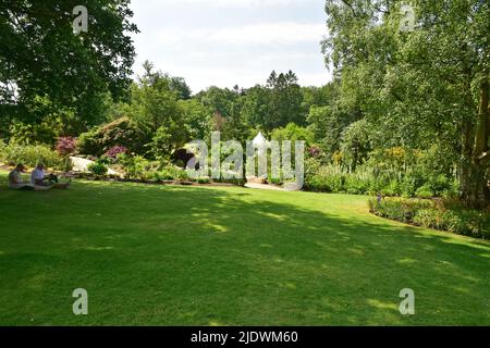 RHS Harlow Carr Gardens, Paar im Schatten, Harrogate, North Yorkshire Stockfoto