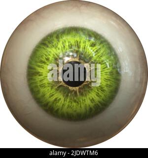 Iris mit menschlichem Auge Stockfoto