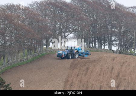 Ein Blue New Holland Traktor mit zwei Lemken-Saattanks, die auf einem gepflügten Feld vor einer Reihe von Buchenbäumen und einer Trockensteinwand manövrieren Stockfoto