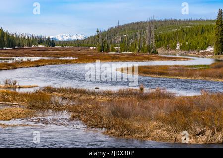Snake River, der sich durch den Yellowstone National Park, Wyoming, dreht und windet Stockfoto