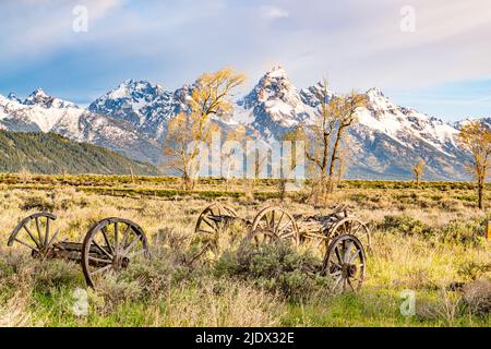 Alte Holzwagen auf einem Feld in der Nähe der Teton Mountains im Grand Teton National Park, Wyoming Stockfoto