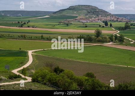 Spanien, Castilla y Leon, Blick vom Camino de Santiago aus auf Castrojeriz, durch das Farmland im Vordergrund. Stockfoto