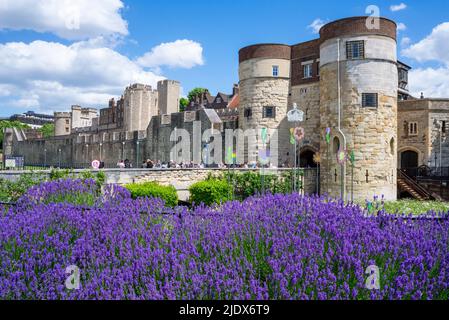 Farbenfrohe Blumen rund um den Tower of London, Tower Hill, London, Großbritannien, während der Ausstellung „Platinum Jubilee“ der Superbloom Queen. Violette Pflanzen Stockfoto