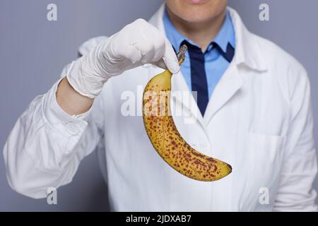 Nahaufnahme einer modernen Ärztin in weißer medizinischer Robe mit Banane auf grauem Hintergrund isoliert. Stockfoto