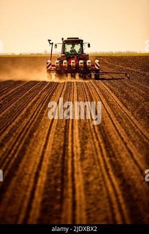 Landwirt im Traktor, der Sojabohnen auf dem Feld sät Stockfoto