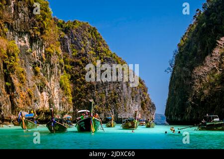 Phi Phi Inseln Zwischen zwei Kalksteinfelsen ist eine Bucht mit vielen Langschwanz-Touristenbooten, die in blauem seichtem Wasser verankert sind. Stockfoto