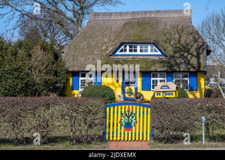 Deutschland, Mecklenburg-Vorpommern, geboren auf dem Darss, Rustikales Haus mit Reetdach Stockfoto