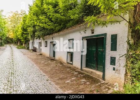 Österreich, Niederösterreich, Poysdorf, Weinkeller entlang der historischen Kellergasse Radyweg Stockfoto