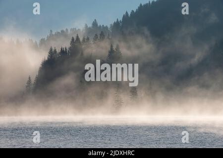 Deutschland, Bayern, dichter Nebel, der im Morgengrauen über dem Geroldsee schwebt Stockfoto