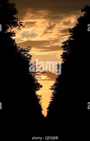 Silhouetten von Bäumen, die in der Dämmerung gegen den launischen Himmel stehen Stockfoto