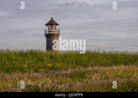 Deutschland, Niedersachsen, Juist, Schilf wachsen vor dem Leuchtturm von Memmertfeuer Stockfoto