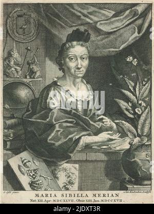 Porträt von Maria Sibylla Merian, hinter Maria Sibylla Merian eine Personifizierung des Kampfes mit einem Baum der Freiheit (niederländische Jungfrau). An der Wand das Wappen von Den Haag. Im Vordergrund Muscheln und Pflanzen. Text in lateinischer Sprache am unteren Rand. Druck ist Teil eines Albums., Druckerei: Jacob Houbraken, (auf Objekt erwähnt), nach Malerei von: Georg Gsell, (auf Objekt erwähnt), 1708 - 1780, Papier, Radierung, Gravur, Höhe 165 mm × Breite 124 mm Stockfoto