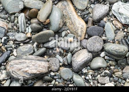 Glänzende nasse Flusssteine am Westland Beach South Island Neuseeland. Stockfoto