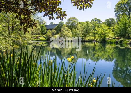 Carter Center Gardens Teich im Carter Presidential Center, Heimat der Jimmy Carter Presidential Library und des Museums in Atlanta, Georgia. (USA) Stockfoto