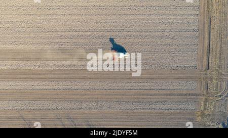 Oben Ansicht des Traktors als Zugmaschine, erschütterndes Ackerfeld, Vorbereitung der Erde für die Pflanzung neuer Ernte in der nächsten Saison. Die Staubwolke fliegt hinter sich her Stockfoto