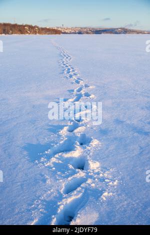 Schritte auf Schnee. Blick auf die Schritte auf einem gefrorenen und verschneiten See und die Stadt Tampere im Hintergrund in Finnland an einem sonnigen Tag im Winter. Stockfoto