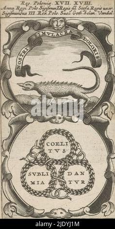 Krokodil / drei verbundene Lorbeerkränze, Nostri simulacra Doloris / Coelitus Sublimia Dantur (Titel auf Objekt), Symbola Divina et Humana Pontificum Imperatorum Regum (Serientitel), ein Emblem mit zwei Darstellungen. Über einem Krokodil in einer Landschaft. Unten drei verbundene Lorbeerkränze mit Text. Dies sind Mottos von Anna Jagiellon und Sigismund III Vasa aus Polen., Druckerei: Anonym, nach Druck von: Aegidius Sadeler (II), 1666, Papier, Gravur, Buchdruck, Höhe 122 mm × Breite 65 mm Stockfoto