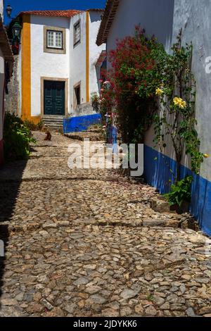 Die leicht gestufte Kopfsteinpflasterstraße in der historischen mittelalterlichen Stadtmauer von Óbidos, Centro, Portugal, ist von traditionellen weiß getünchten Häusern gesäumt, die von lebhaften Blau- und Gelbtönen sowie roten Fuchsien und Rosen an ihren Wänden gekleidet sind. Stockfoto