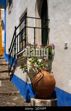 Der rosafarbene Hibiskus blüht in einem anmutigen Terrakottatopf neben dem Eingang eines alten Hauses, das in typisch portugiesischem Weiß und Blau gestrichen ist, in einer gestuften gepflasterten Gasse innerhalb der mittelalterlichen Befestigungsanlagen um Óbidos, Centro, Portugal. Stockfoto